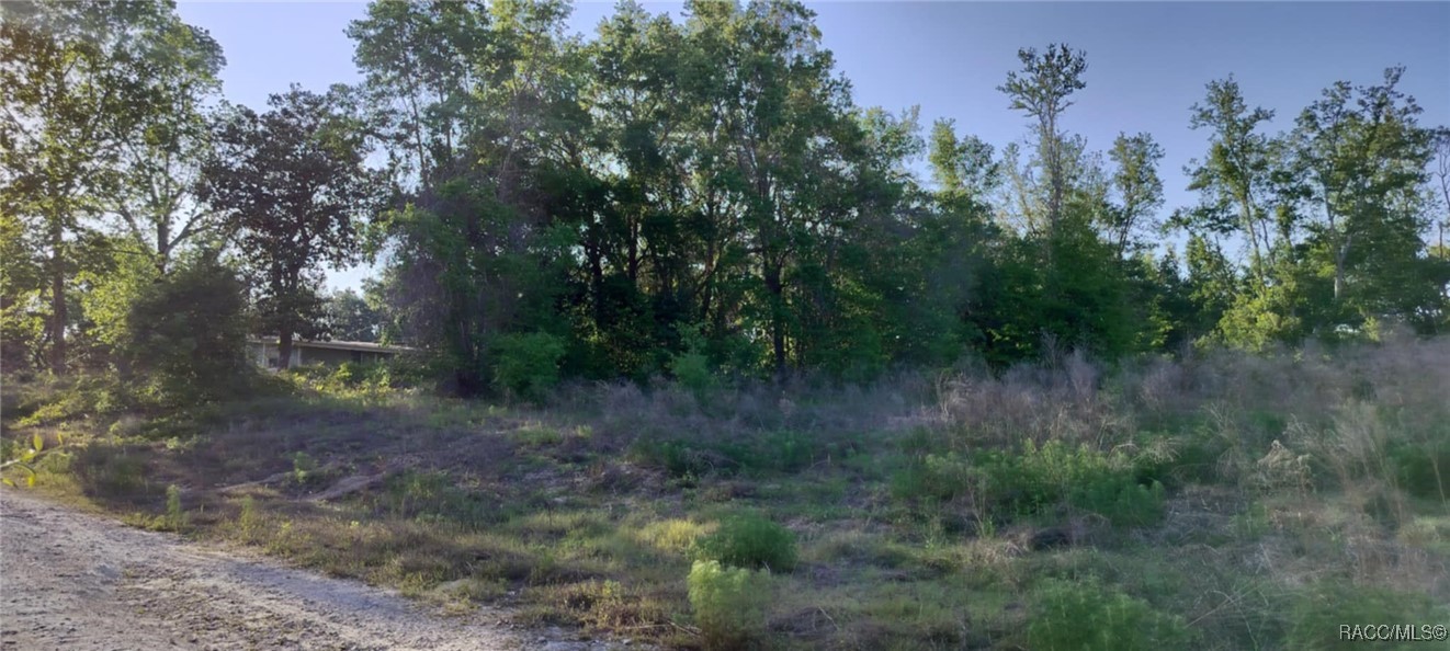 2808 Van Buren Street, Inverness, New York image 14