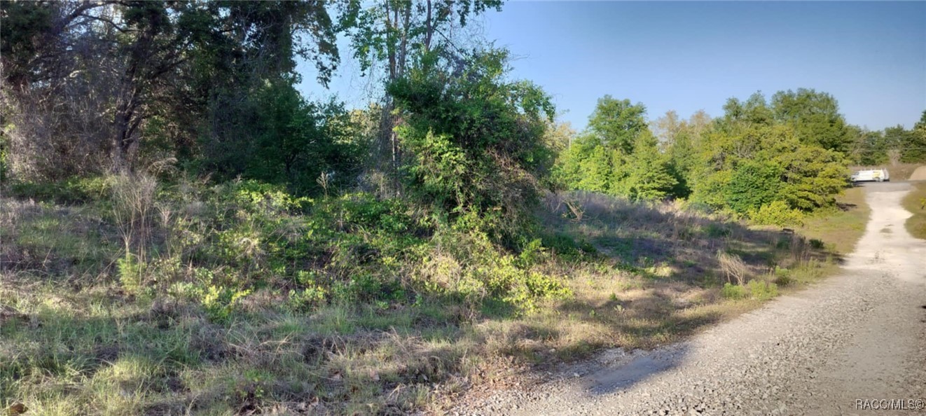 2808 Van Buren Street, Inverness, New York image 10