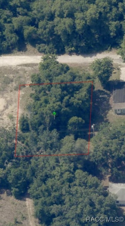 2808 Van Buren Street, Inverness, New York image 2