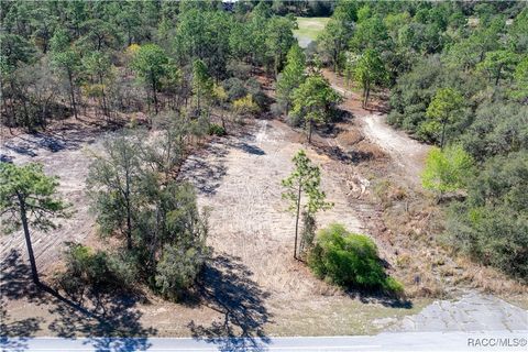 3016 Pine Ridge Boulevard W Beverly Hills FL 34465