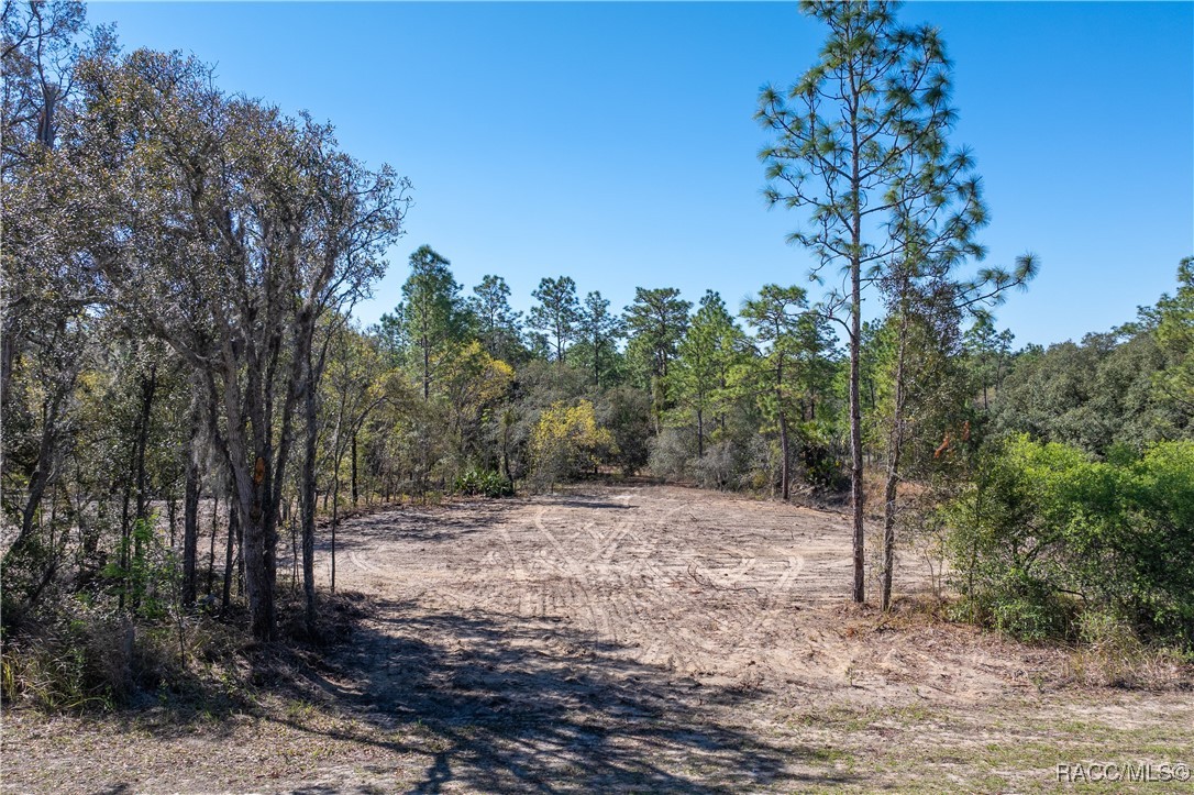 3016 Pine Ridge Boulevard, Beverly Hills, Florida image 2