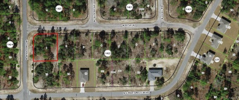 Vacant Land For Sale - 2952 W Rita Lane<br/> Dunnellon, FL 34433