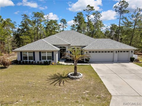 Homes For Sale - 24 Tall Marigolds Court<br/> Homosassa, FL 34446