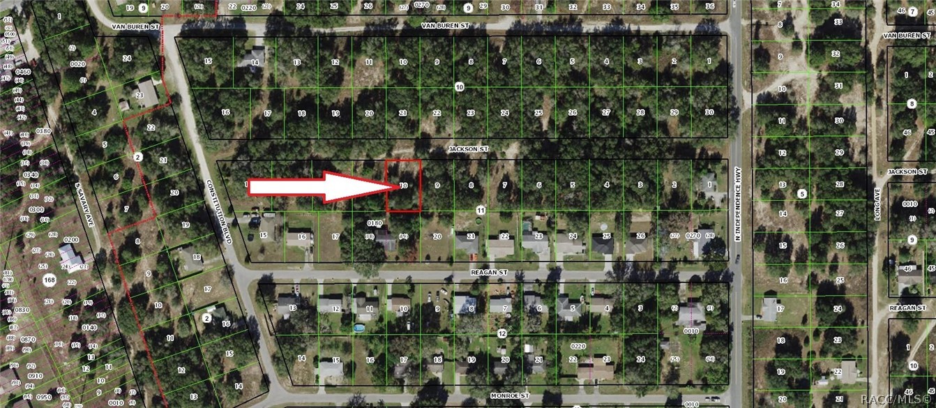 2905 Jackson Street, Inverness, Florida image 1