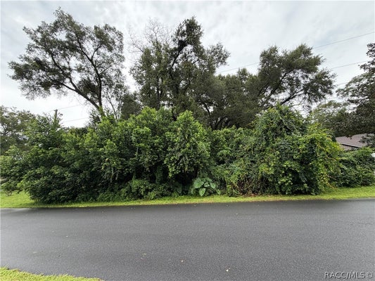6140 E IVY LN, INVERNESS, FL 34452 - Image 1e6bdfd6206e6323d99d8192ad2bd511/3388650910