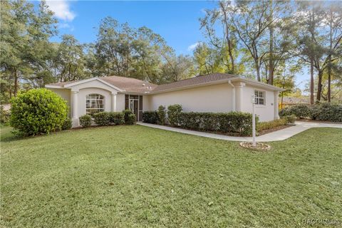 A home in Dunnellon