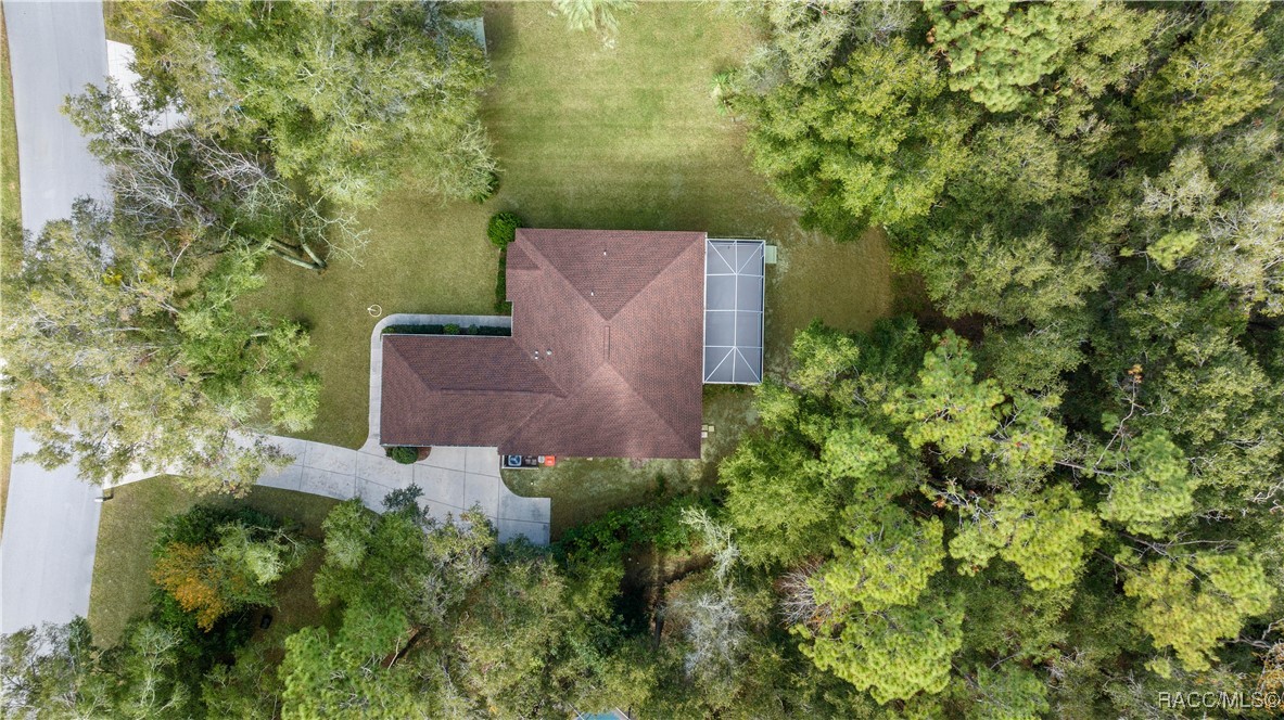 9593 SW 196th Avenue Road, Dunnellon, Florida image 3