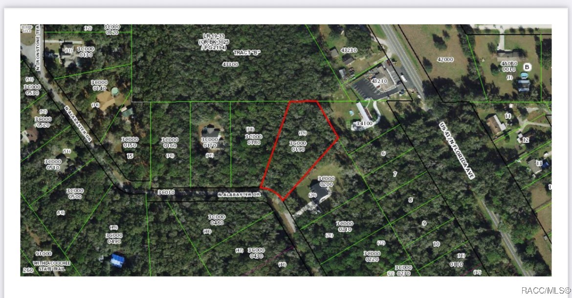 5121 N Alabaster Drive, Hernando, New York image 2