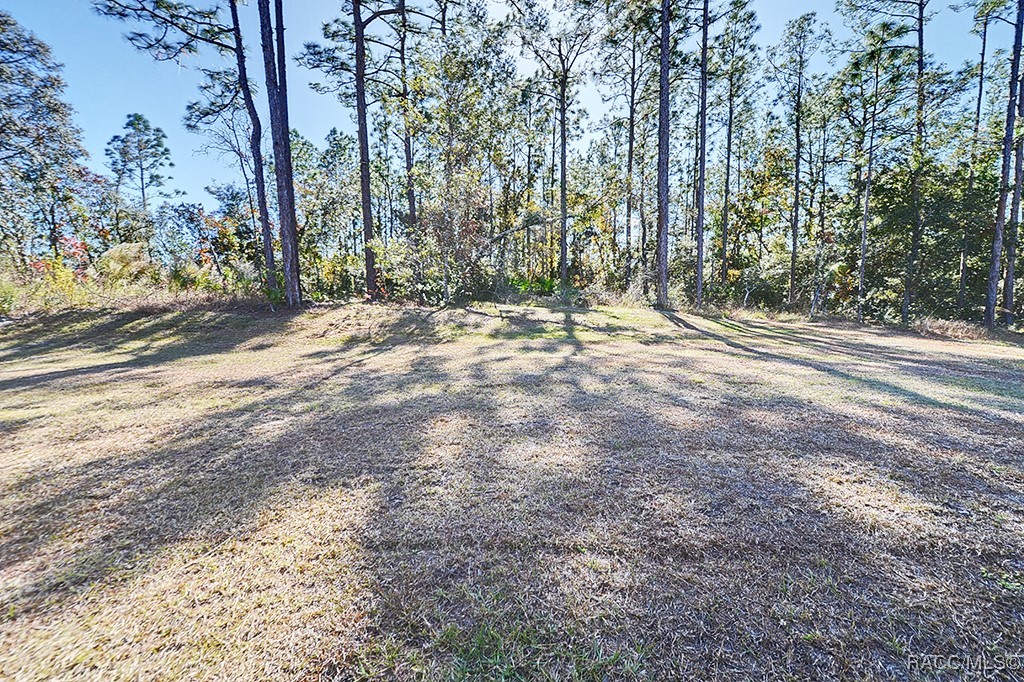 2660 W Gifford Lane, Citrus Springs, Florida image 36
