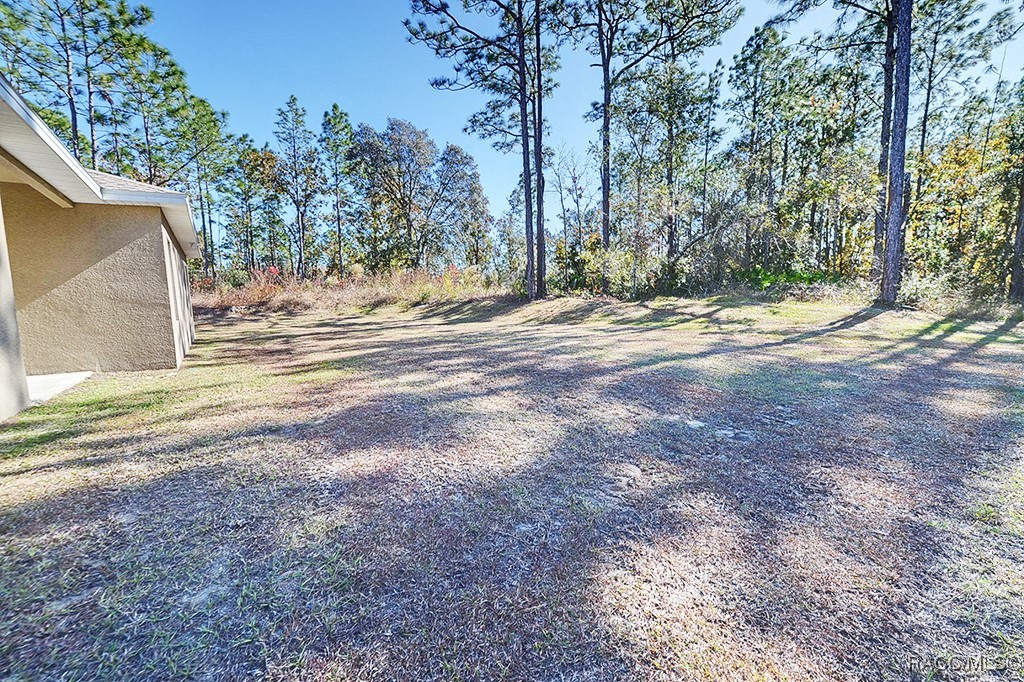 2660 W Gifford Lane, Citrus Springs, Florida image 35