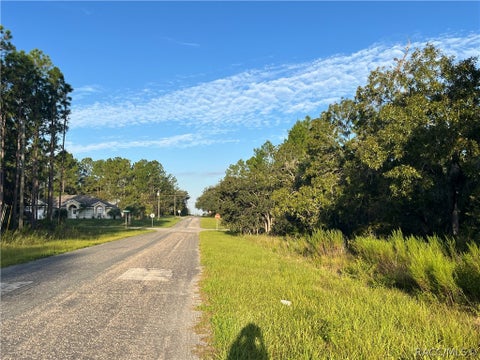 Vacant Land For Sale - 849 W Hummingbird Drive<br/> Citrus Springs, FL 34434
