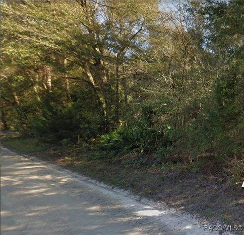 Vacant Land For Sale - LOT 52 NW 36th Lane<br/> Gilchrist County, Bell, FL 32619