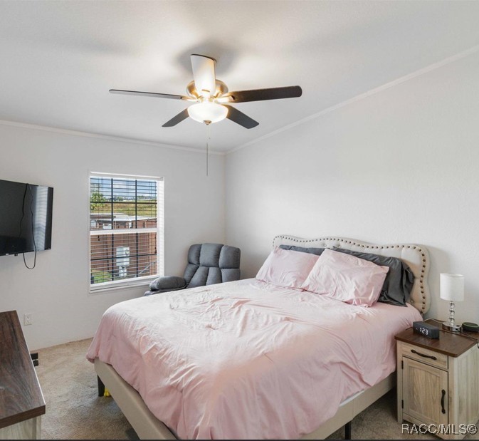8343 Fantasia Park Way, Riverview, Florida image 19