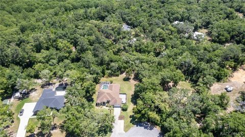 A home in Citrus Springs