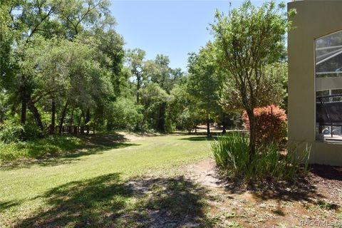 A home in Citrus Springs