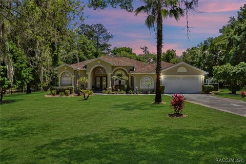 A home in Citrus Springs