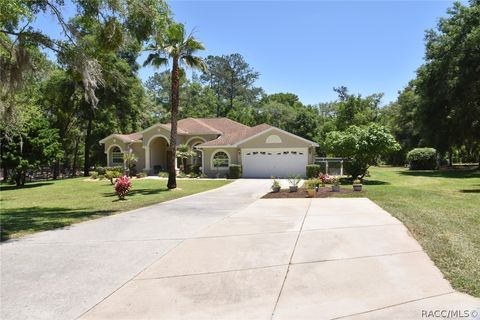 A home in Citrus Springs