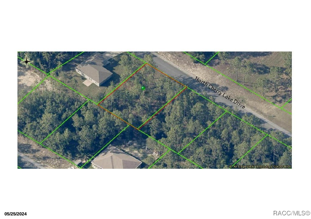 9530 N Cherry Lake Drive, Citrus Springs, Florida image 2