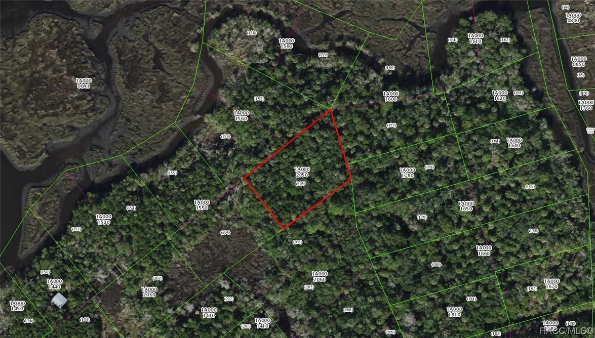 13469 Sportsmans Island, Homosassa, New York image 4