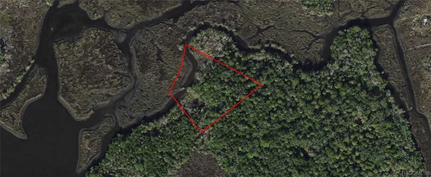 13469 Sportsmans Island, Homosassa, New York image 5