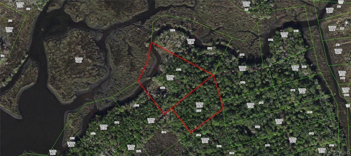 13469 Sportsmans Island, Homosassa, New York image 2