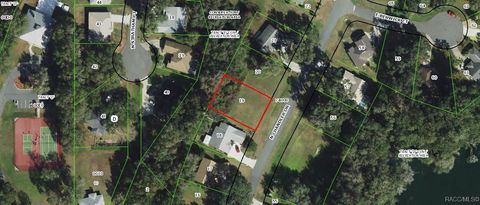 Vacant Land For Sale - 2952 N Chandler Drive<br/> Hernando, FL 34442