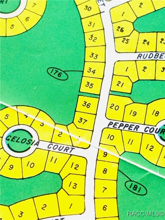 43 Lone Pine Street, Homosassa, Florida image 1