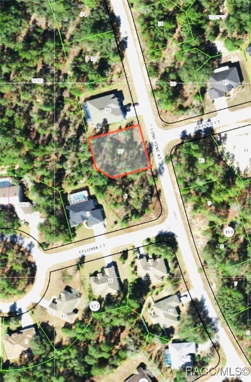 43 Lone Pine Street, Homosassa, Florida image 2