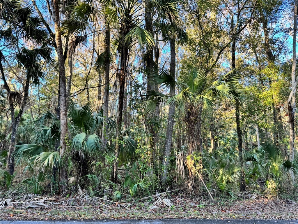 341 NE 13th Street, Crystal River, Florida image 7