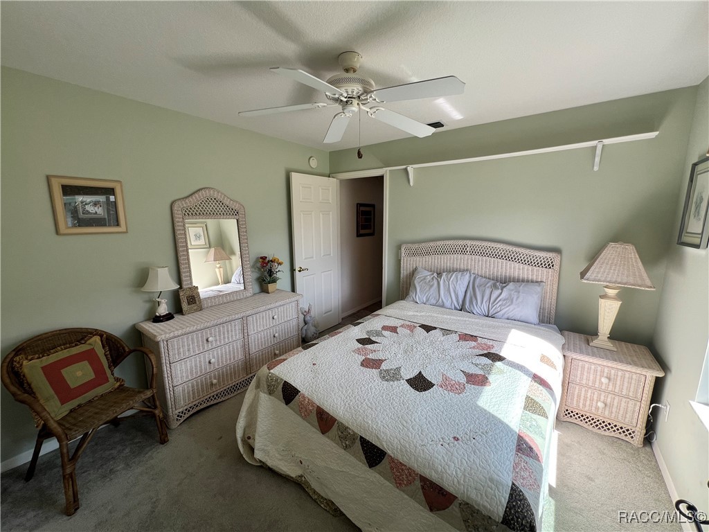 3596 E Cove Park Trail, Hernando, New York image 17