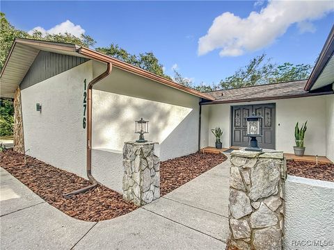 A home in Hernando