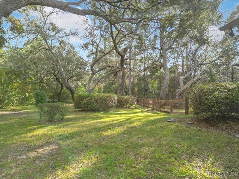 A home in Hernando