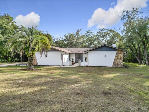 A home in Hernando