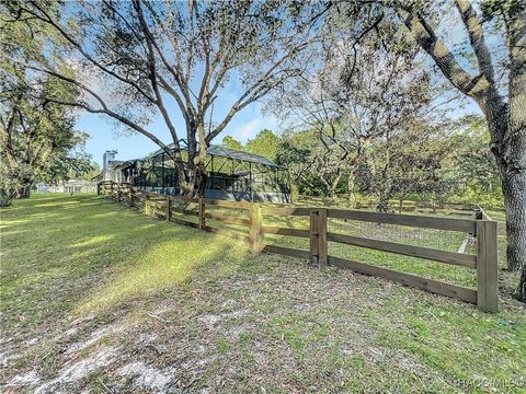 A home in Hernando