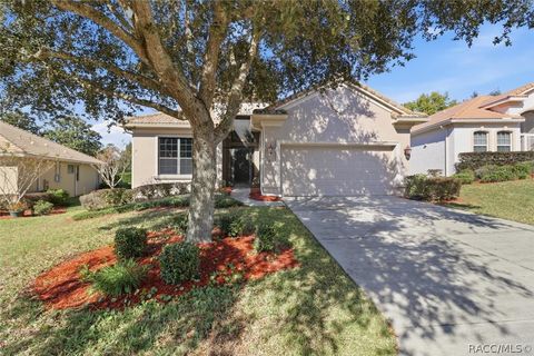 Homes For Sale - 1027 W Skyview Crossing Drive<br/> Hernando, FL 34442