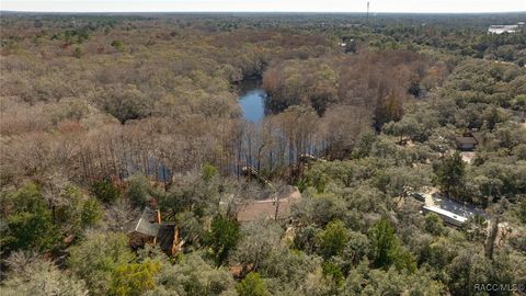 A home in Dunnellon