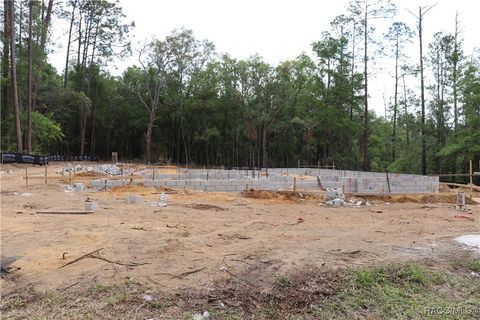159 N Kinglet Avenue Hernando FL 34442