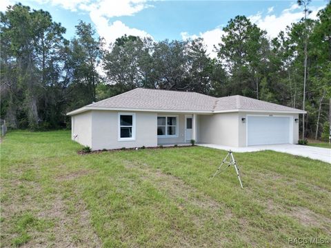 Homes For Sale - 8090 N Hale Road<br/> Citrus Springs, FL 34434