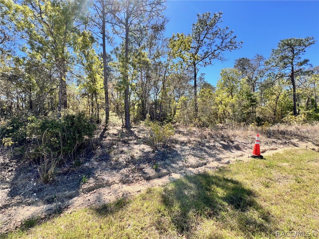 4912 W Ziggy Street, Crystal River, Florida image 3