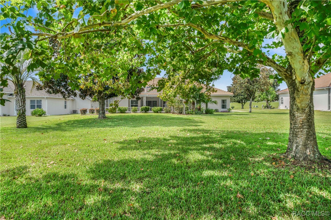 1372 E Seattle Slew Circle