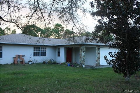 Homes For Sale - 1906 S Hoylake Terrace<br/> Lecanto, FL 34461