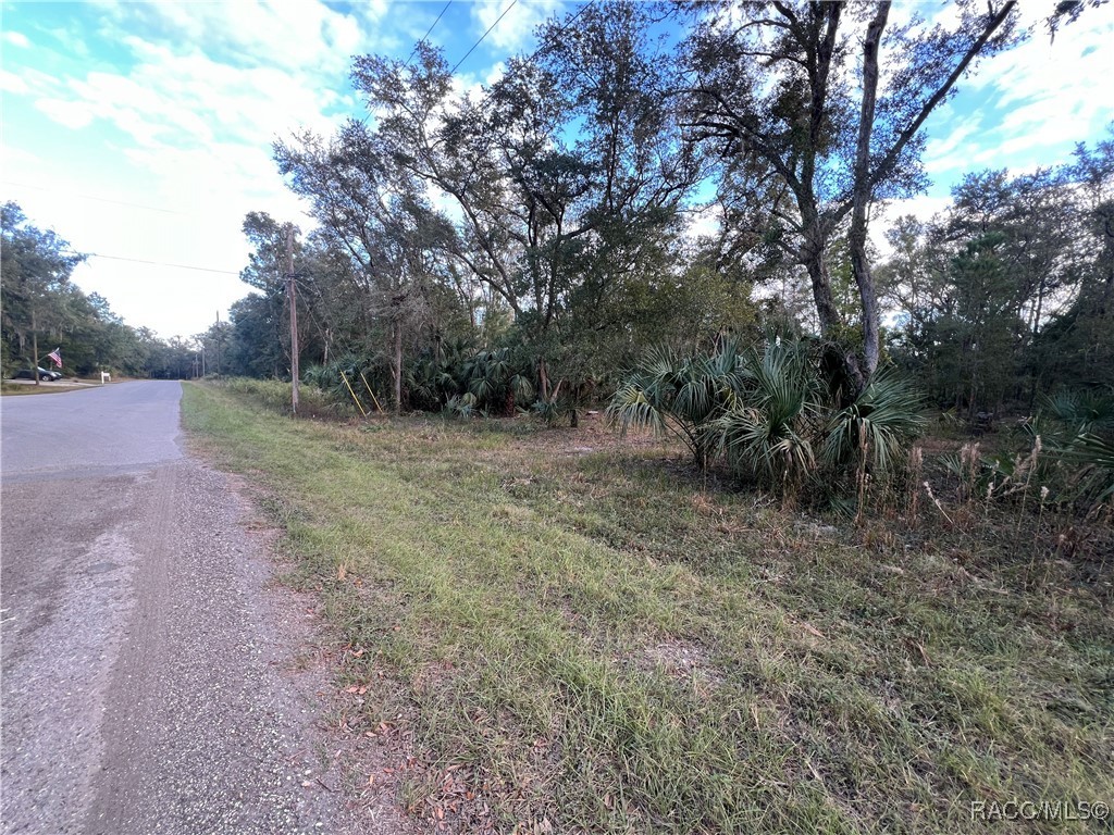 8236 W Catrina Lane, Crystal River, Florida image 7