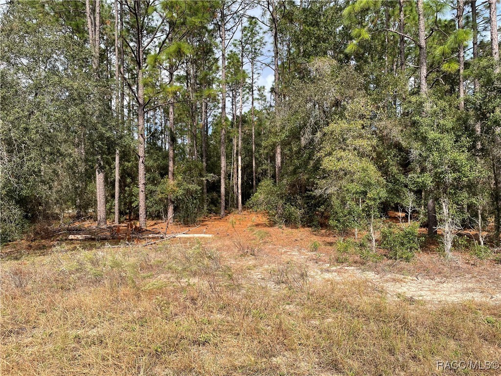 59th Lane, Dunnellon, Florida image 3