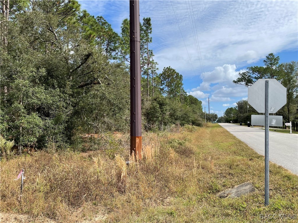 59th Lane, Dunnellon, Florida image 10