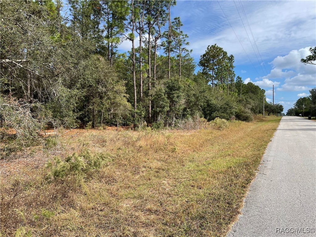 59th Lane, Dunnellon, Florida image 11