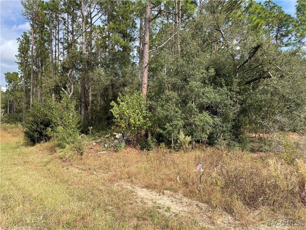 59th Lane, Dunnellon, Florida image 12