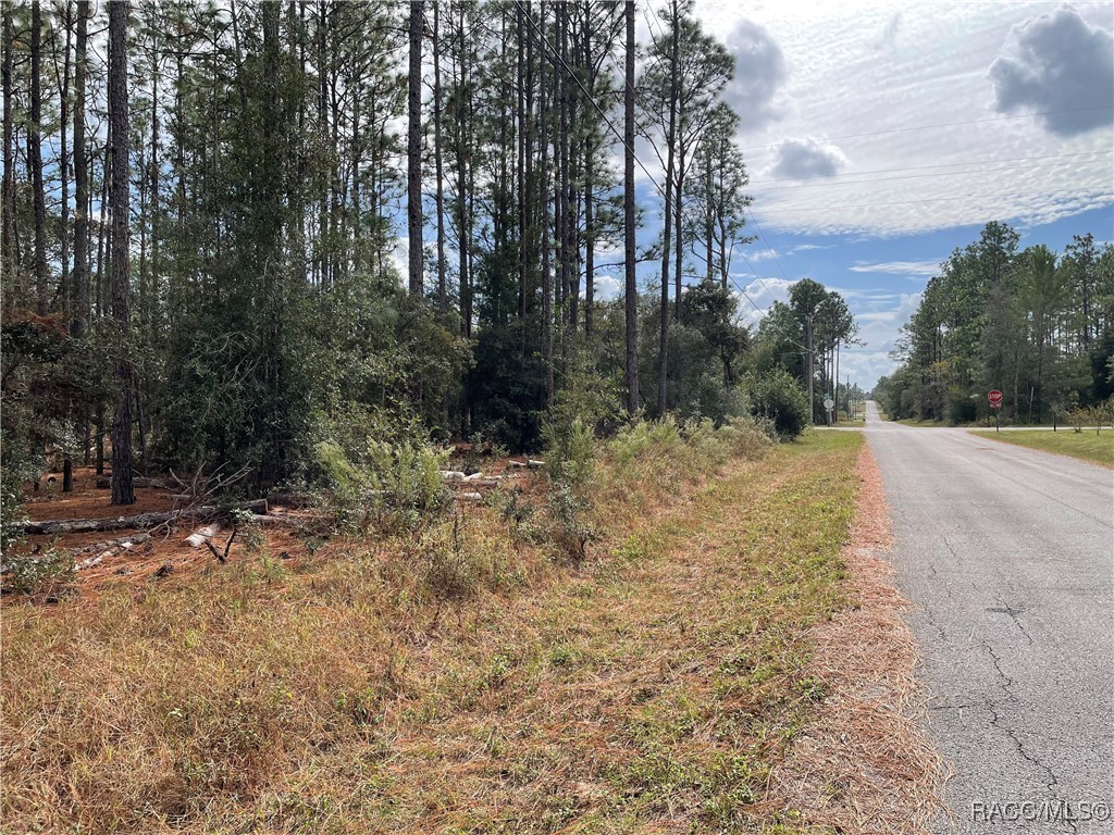 59th Lane, Dunnellon, Florida image 16