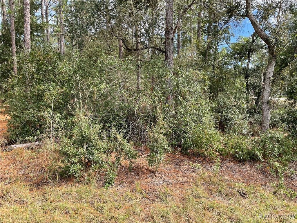 59th Lane, Dunnellon, Florida image 8