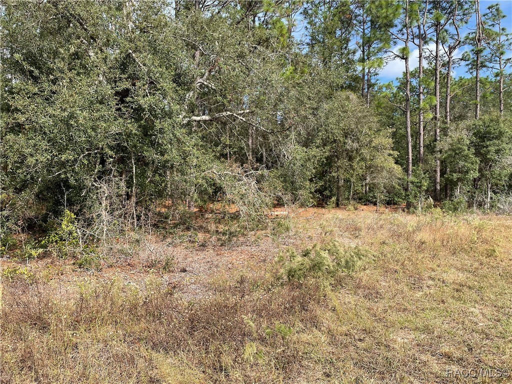 59th Lane, Dunnellon, Florida image 9