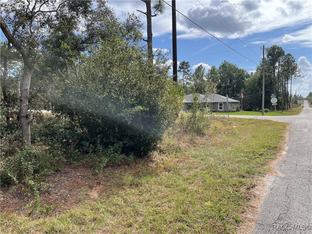 59th Lane, Dunnellon, Florida image 15